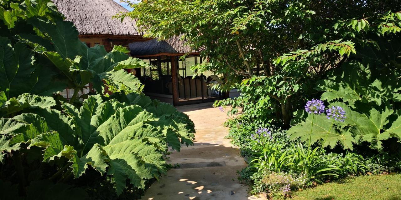 Amazian Mountain River Lodge Underberg Extérieur photo